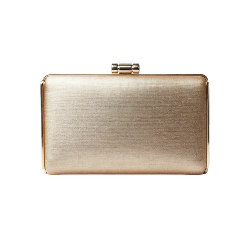 Bronze Evening Clutch